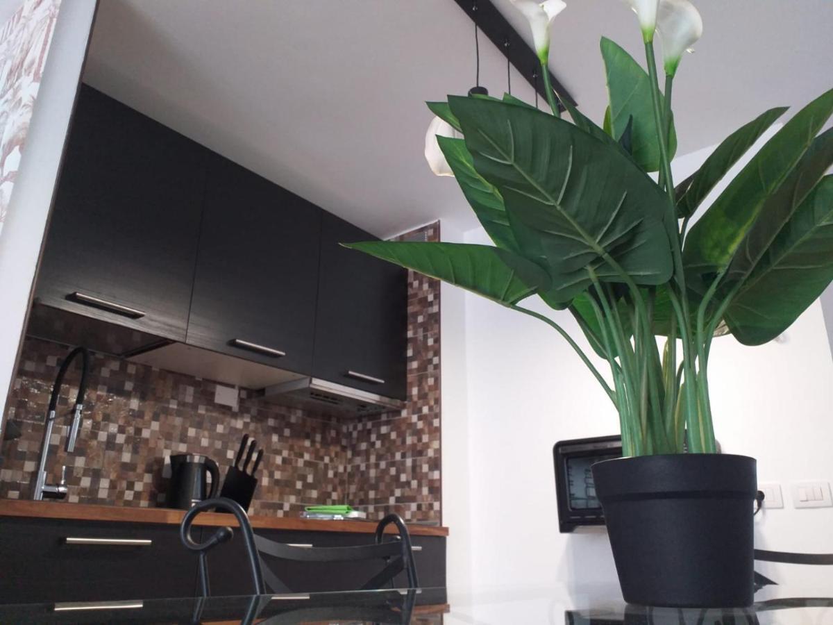 Loft 113 Leilighet Corralejo Eksteriør bilde