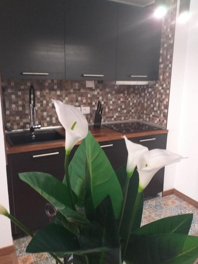 Loft 113 Leilighet Corralejo Eksteriør bilde