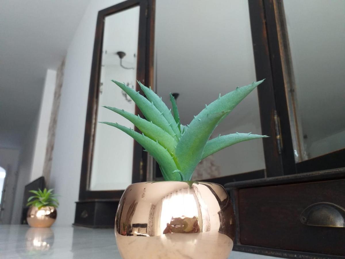 Loft 113 Leilighet Corralejo Eksteriør bilde