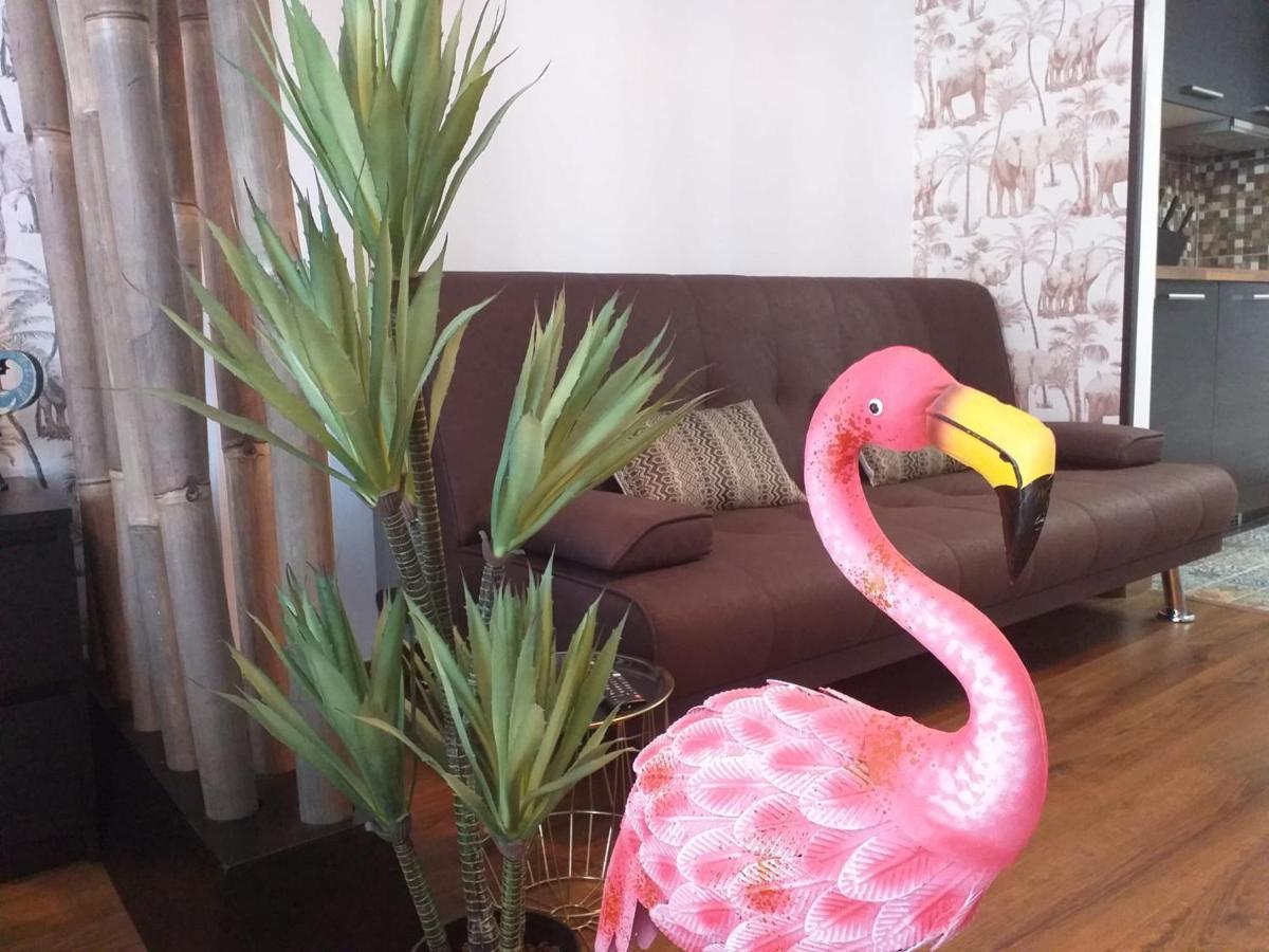 Loft 113 Leilighet Corralejo Eksteriør bilde